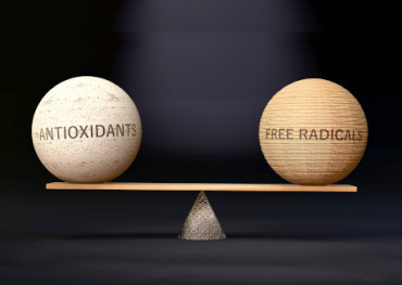 Oxidative Stress Explained: Why Antioxidants Matter for Everyday Wellness