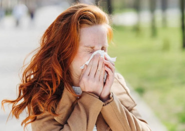 What causes hay fever?