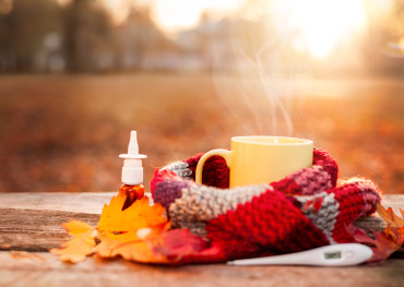 Supporting Your Immune System During Cold and Flu Season